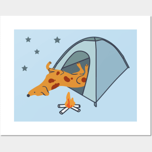 Camping Dog Posters and Art